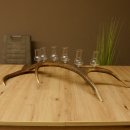 Schnapsanbieter 6 große Gläser Steckglas mit Stiel auf Rothirschstange Geschenk 27.60.2.37