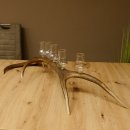 Schnapsanbieter 6 große Gläser Steckglas mit Stiel auf Rothirschstange Geschenk 27.60.2.37