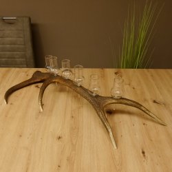 Schnapsanbieter 6 große Gläser Steckglas mit Stiel auf Rothirschstange Geschenk 27.60.2.37