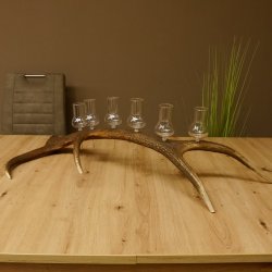 Schnapsanbieter 6 große Gläser Steckglas mit Stiel auf Rothirschstange Geschenk 27.60.2.37