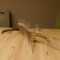 Schnapsanbieter 6 große Gläser Steckglas mit Stiel auf Rothirschstange Geschenk 27.60.2.37