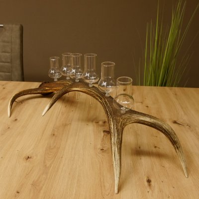 Schnapsanbieter 6 große Gläser Steckglas mit Stiel auf Rothirschstange Geschenk 27.60.2.38