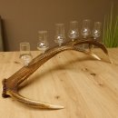 Schnapsanbieter 6 große Gläser Steckglas mit Stiel auf Rothirschstange Geschenk 27.60.2.38