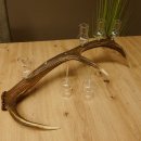 Schnapsanbieter 6 große Gläser Steckglas mit Stiel auf Rothirschstange Geschenk 27.60.2.38