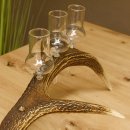 Schnapsanbieter 6 große Gläser Steckglas mit Stiel auf Rothirschstange Geschenk 27.60.2.38