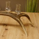 Schnapsanbieter 6 große Gläser Steckglas mit Stiel auf Rothirschstange Geschenk 27.60.2.38