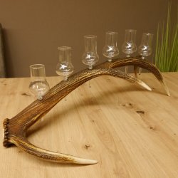 Schnapsanbieter 6 große Gläser Steckglas mit Stiel auf Rothirschstange Geschenk 27.60.2.38