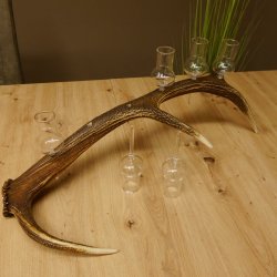 Schnapsanbieter 6 große Gläser Steckglas mit Stiel auf Rothirschstange Geschenk 27.60.2.38