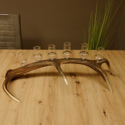 Schnapsanbieter 6 große Gläser Steckglas mit Stiel auf Rothirschstange Geschenk 27.60.2.38