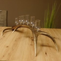 Schnapsanbieter 6 große Gläser Steckglas mit Stiel auf Rothirschstange Geschenk 27.60.2.38