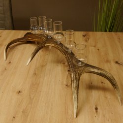 Schnapsanbieter 6 große Gläser Steckglas mit Stiel auf Rothirschstange Geschenk 27.60.2.38