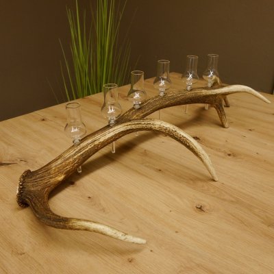 Schnapsanbieter 6 kleine Gläser Steckglas mit Stiel auf Rothirschstange Geschenk 27.60.2.39