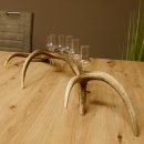 Schnapsanbieter 6 kleine Gläser Steckglas mit Stiel auf Rothirschstange Geschenk 27.60.2.39