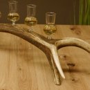 Schnapsanbieter 6 kleine Gläser Steckglas mit Stiel auf Rothirschstange Geschenk 27.60.2.39
