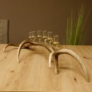 Schnapsanbieter 6 kleine Gläser Steckglas mit Stiel auf Rothirschstange Geschenk 27.60.2.39