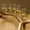 Schnapsanbieter 6 kleine Gläser Steckglas mit Stiel auf Rothirschstange Geschenk 27.60.2.39