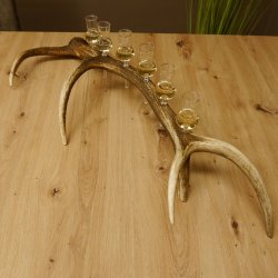 Schnapsanbieter 6 kleine Gläser Steckglas mit Stiel auf Rothirschstange Geschenk 27.60.2.39