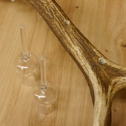 Schnapsanbieter 6 kleine Gläser Steckglas mit Stiel auf Rothirschstange Geschenk 27.60.2.39