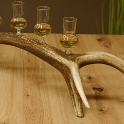 Schnapsanbieter 6 kleine Gläser Steckglas mit Stiel auf Rothirschstange Geschenk 27.60.2.39