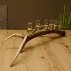 Schnapsanbieter 6 kleine Gläser Steckglas mit Stiel auf Rothirschstange Geschenk 27.60.2.39