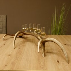 Schnapsanbieter 6 kleine Gläser Steckglas mit Stiel auf Rothirschstange Geschenk 27.60.2.39