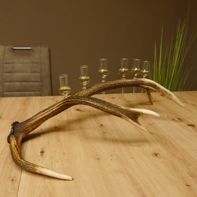 Schnapsanbieter 6 kleine Gläser Steckglas mit Stiel auf Rothirschstange Geschenk 27.60.2.40