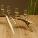 Schnapsanbieter 6 kleine Gläser Steckglas mit Stiel auf Rothirschstange Geschenk 27.60.2.40