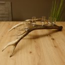 Schnapsanbieter 6 kleine Gläser Steckglas mit Stiel auf Rothirschstange Geschenk 27.60.2.40