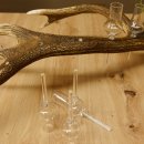 Schnapsanbieter 6 kleine Gläser Steckglas mit Stiel auf Rothirschstange Geschenk 27.60.2.40
