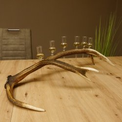 Schnapsanbieter 6 kleine Gläser Steckglas mit Stiel auf Rothirschstange Geschenk 27.60.2.40