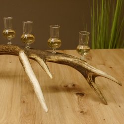 Schnapsanbieter 6 kleine Gläser Steckglas mit Stiel auf Rothirschstange Geschenk 27.60.2.40