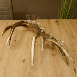 Schnapsanbieter 6 kleine Gläser Steckglas mit Stiel auf Rothirschstange Geschenk 27.60.2.40