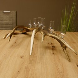 Schnapsanbieter 6 kleine Gläser Steckglas mit Stiel auf Rothirschstange Geschenk 27.60.2.40