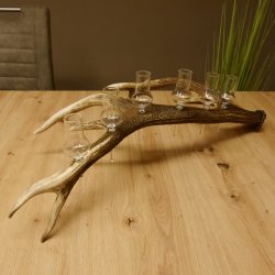 Schnapsanbieter 6 kleine Gläser Steckglas mit Stiel auf Rothirschstange Geschenk 27.60.2.40