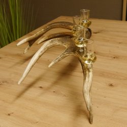 Schnapsanbieter 6 kleine Gläser Steckglas mit Stiel auf Rothirschstange Geschenk 27.60.2.40