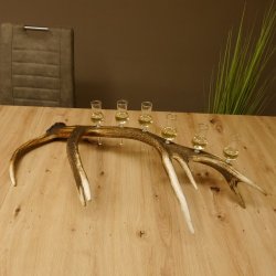 Schnapsanbieter 6 kleine Gläser Steckglas mit Stiel auf Rothirschstange Geschenk 27.60.2.40