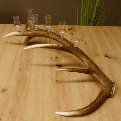 Schnapsanbieter 6 kleine Gläser Steckglas mit Stiel auf Rothirschstange Geschenk 27.60.2.41