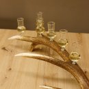 Schnapsanbieter 6 kleine Gläser Steckglas mit Stiel auf Rothirschstange Geschenk 27.60.2.41