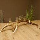 Schnapsanbieter 6 kleine Gläser Steckglas mit Stiel auf Rothirschstange Geschenk 27.60.2.41