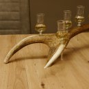 Schnapsanbieter 6 kleine Gläser Steckglas mit Stiel auf Rothirschstange Geschenk 27.60.2.41