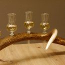 Schnapsanbieter 6 kleine Gläser Steckglas mit Stiel auf Rothirschstange Geschenk 27.60.2.41