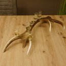 Schnapsanbieter 6 kleine Gläser Steckglas mit Stiel auf Rothirschstange Geschenk 27.60.2.41
