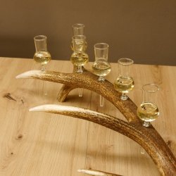 Schnapsanbieter 6 kleine Gläser Steckglas mit Stiel auf Rothirschstange Geschenk 27.60.2.41