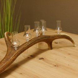 Schnapsanbieter 6 kleine Gläser Steckglas mit Stiel auf Rothirschstange Geschenk 27.60.2.41