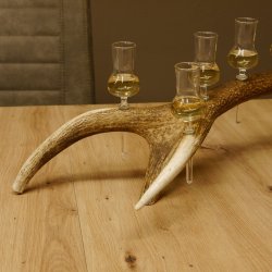 Schnapsanbieter 6 kleine Gläser Steckglas mit Stiel auf Rothirschstange Geschenk 27.60.2.41