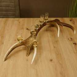 Schnapsanbieter 6 kleine Gläser Steckglas mit Stiel auf Rothirschstange Geschenk 27.60.2.41