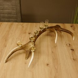 Schnapsanbieter 6 kleine Gläser Steckglas mit Stiel auf Rothirschstange Geschenk 27.60.2.41