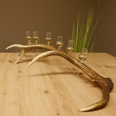 Schnapsanbieter 6 kleine Gläser Steckglas mit Stiel auf Rothirschstange Geschenk 27.60.2.42