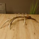 Schnapsanbieter 6 kleine Gläser Steckglas mit Stiel auf Rothirschstange Geschenk 27.60.2.42