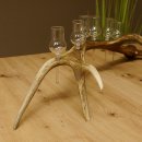 Schnapsanbieter 6 kleine Gläser Steckglas mit Stiel auf Rothirschstange Geschenk 27.60.2.42